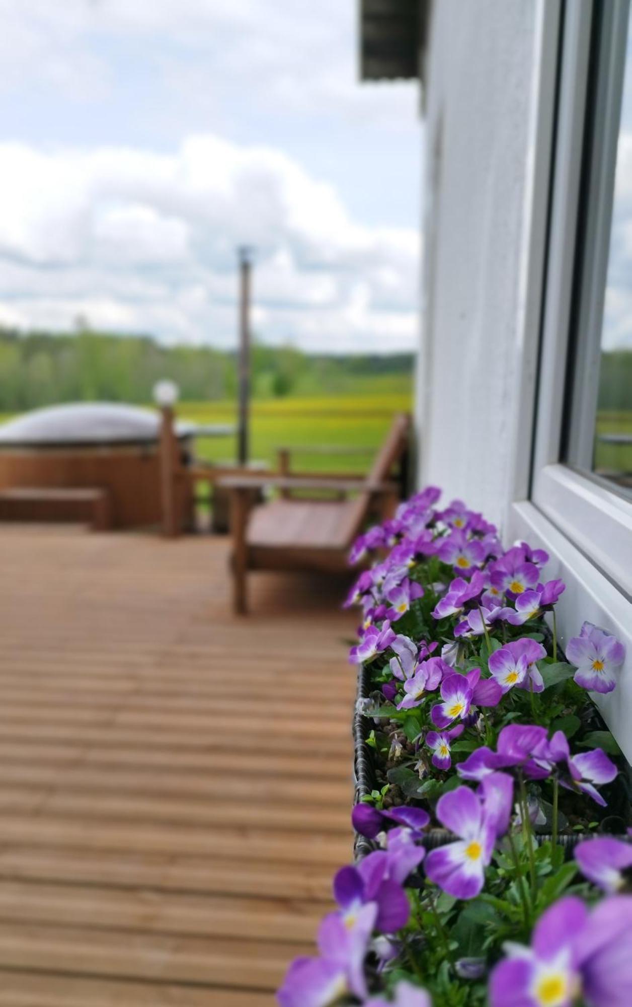 Guesthouse, Sauna & Jacuzzi In Gauja Valley - Kakukalns Straupe Exterior foto
